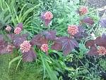     
: 20160524_061014.jpg
: 6
:	174.3 
ID:	11186089