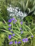    
: 20160524_061309.jpg
: 7
:	167.5 
ID:	11186093