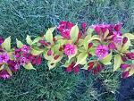     
: 20160524_061056.jpg
: 6
:	243.5 
ID:	11186095