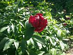     
: 20160524_083639.jpg
: 127
:	256.6 
ID:	11186737