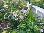     
: 20160524_083606.jpg
: 121
:	271.2 
ID:	11186738