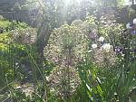     
: 20160524_083551.jpg
: 141
:	231.2 
ID:	11186739