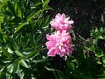     
: 20160524_083445.jpg
: 121
:	220.0 
ID:	11186741