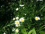     
: 20160524_083523.jpg
: 130
:	246.4 
ID:	11186742