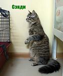     
: DSC03413.jpg
: 9
:	90.7 
ID:	11187137