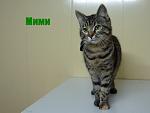     
: DSC03445.jpg
: 11
:	83.4 
ID:	11187139