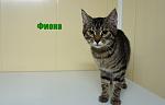     
: DSC03448.jpg
: 12
:	73.0 
ID:	11187140