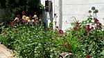     
: 20160524_120901.jpg
: 9
:	153.7 
ID:	11187505