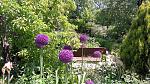     
: 20160524_121630.jpg
: 8
:	176.7 
ID:	11187512