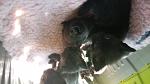     
: 20160524_125742.jpg
: 23
:	75.2 
ID:	11187922
