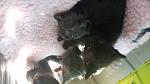     
: 20160524_125744.jpg
: 25
:	71.2 
ID:	11187926
