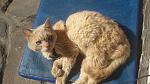     
: 20160524_160536.jpg
: 15
:	177.6 
ID:	11188638