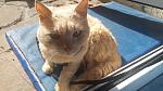     
: 20160524_160552.jpg
: 16
:	131.3 
ID:	11188639