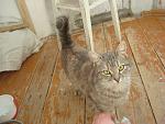     
: dsc06447.jpg
: 32
:	126.8 
ID:	11189016