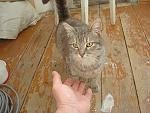     
: dsc06446.jpg
: 37
:	152.6 
ID:	11189030