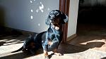     
: qD9MM4SWSOQ.jpg
: 10
:	154.5 
ID:	11191156