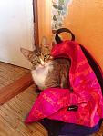     
: eI6UFh_JIFI.jpg
: 14
:	157.6 
ID:	11192203