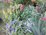     
: 20160526_164546.jpg
: 33
:	217.6 
ID:	11194211