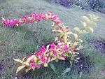     
: 20160526_164618.jpg
: 30
:	266.8 
ID:	11194212