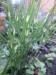     
: 20160526_164529.jpg
: 28
:	140.0 
ID:	11194213