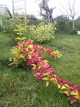     
: 20160526_164737.jpg
: 31
:	156.7 
ID:	11194215