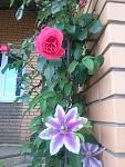     
: 20160526_165041.jpg
: 34
:	96.1 
ID:	11194217