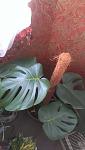     
: IMAG0181.jpg
: 14
:	72.4 
ID:	11194788