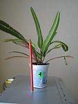     
: IMG_6118.jpg
: 14
:	58.8 
ID:	11194817
