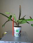     
: IMG_6117.jpg
: 16
:	59.3 
ID:	11194818
