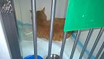     
: 2DMbR2saZy4.jpg
: 12
:	55.1 
ID:	11196993