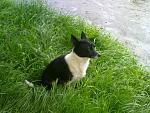     
: jYC0wadCJU4.jpg
: 91
:	192.8 
ID:	11198292