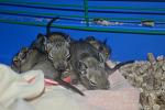     
: DSC_1093.jpg
: 78
:	94.1 
ID:	11199200