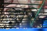     
: DSC_1083.jpg
: 15
:	122.8 
ID:	11199202