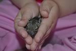     
: DSC_1087.jpg
: 19
:	54.0 
ID:	11199203