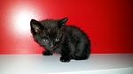     
: 20160528_161833.jpg
: 13
:	89.0 
ID:	11199353