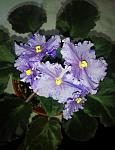     
: IMG_20160526_143052_1464474035154.jpg
: 19
:	90.4 
ID:	11199769