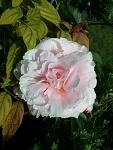     
: 20160529_092254.jpg
: 8
:	80.3 
ID:	11200846