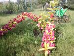     
: 20160529_092351.jpg
: 7
:	304.1 
ID:	11200847