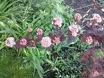     
: 20160529_092655.jpg
: 7
:	240.0 
ID:	11200848