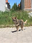     
: 13329896_991101647605859_45479932_n.jpg
: 21
:	152.7 
ID:	11200870