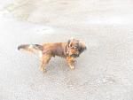     
: IMG_5101.jpg
: 80
:	121.7 
ID:	11201764