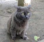     
: IMG_20160530_143035.jpg
: 13
:	149.5 
ID:	11203319