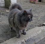     
: IMG_20160530_142951.jpg
: 9
:	256.9 
ID:	11203320