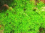     
: IMG_5239.jpg
: 18
:	270.6 
ID:	11203764