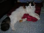     
: DSCN6439.jpg
: 5
:	157.7 
ID:	11204301