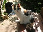     
: DSCN6413.jpg
: 6
:	173.3 
ID:	11204305