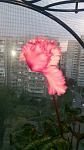     
: IMG_20160530_190406.jpg
: 11
:	98.6 
ID:	11204556