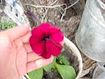     
: DSCN0218.jpg
: 28
:	95.2 
ID:	1120460