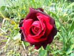     
: SAM_1670.jpg
: 9
:	125.7 
ID:	11207385
