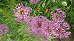     
: DSC01064.jpg
: 8
:	274.2 
ID:	11213317